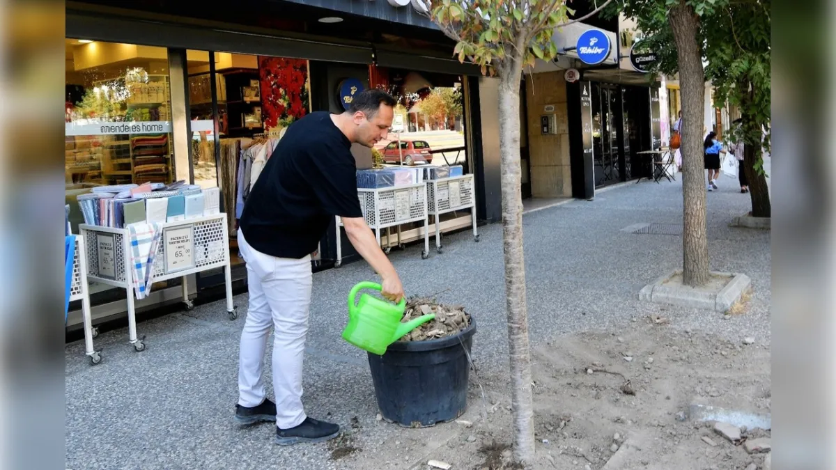 Bornova’ya estetik dokunuş: Sakura ve tarçın ağaçları ekildi!   haberinin görseli