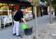 Bornova’ya estetik dokunuş: Sakura ve tarçın ağaçları ekildi!  