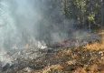 Manisa&#039;da orman yangını