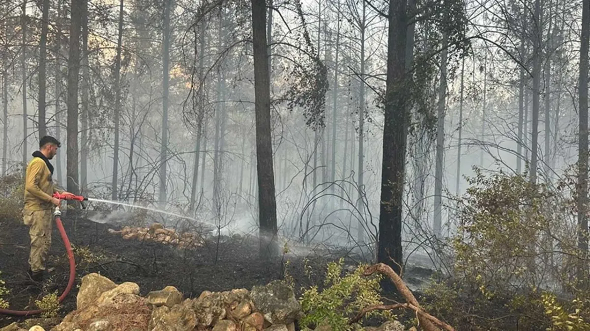 Osmaniye&#039;de  orman yangını haberinin görseli