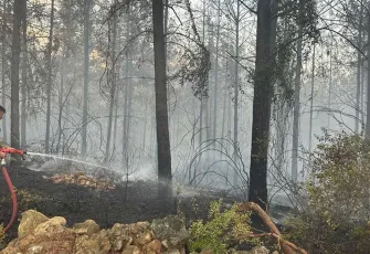 Osmaniye'de  orman yangını