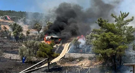 İzmir Kemalpaşa'da tarım arazisinde çıkan yangın ormana sıçradı: Kontrol altına alındı