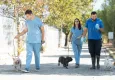 İzmir’de el konulan 20 cins köpek sahiplendirilecek