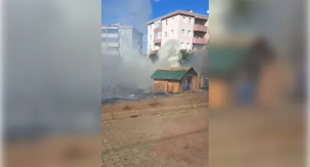İstanbul'da yangın alarmı: Çok sayıda güvercin öldü