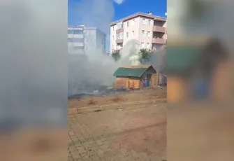 İstanbul'da yangın alarmı: Çok sayıda güvercin öldü