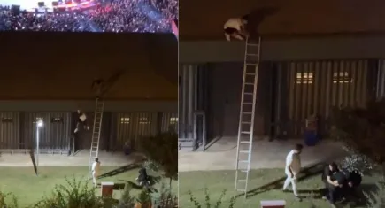 Mersin’de konsere çatından izleme girişimi kabusa döndü! Gençler itilip darbedildi, savcılık harekete geçti