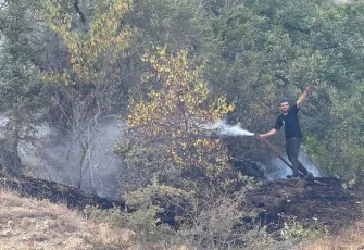 Karabük’te orman yangını!