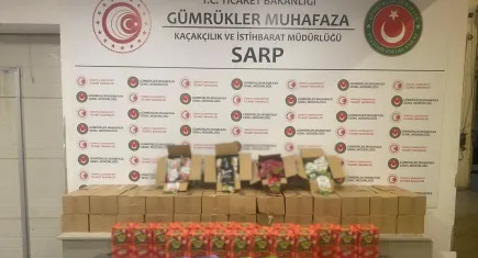 Sarp Gümrük ve İstanbul’da dev operasyon: 1,1 milyar TL’lik uyuşturucu yakalandı!