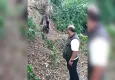 Zonguldak'ta tuzağa takılan ayı böyle kurtarıldı