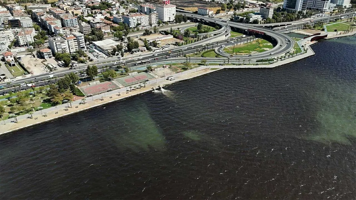 İzmir Körfezi&#039;nde kirlilik ve kötü koku şikâyetleri arttı haberinin görseli