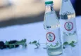Türkiye’de ilk kez İzmir’de: Şeker otuyla sağlıklı gazoz üretimi