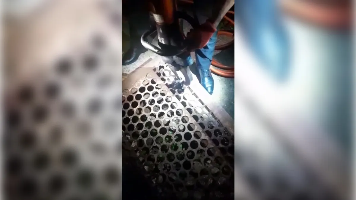 Yürek ısıtan kurtarma: Mazgala sıkışan yavru kedi Mazgal adıyla hayata tutundu haberinin görseli