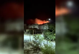 Antalya Alanya'da orman yangını!