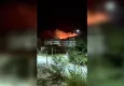 Antalya Alanya'da orman yangını!