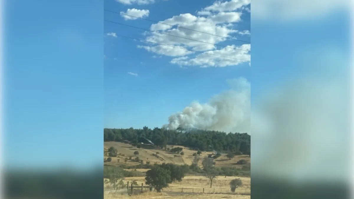 Çanakkale Ezine’de orman yangını haberinin görseli