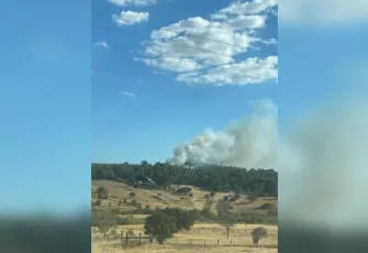 Çanakkale Ezine’de orman yangını