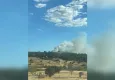Çanakkale Ezine’de orman yangını