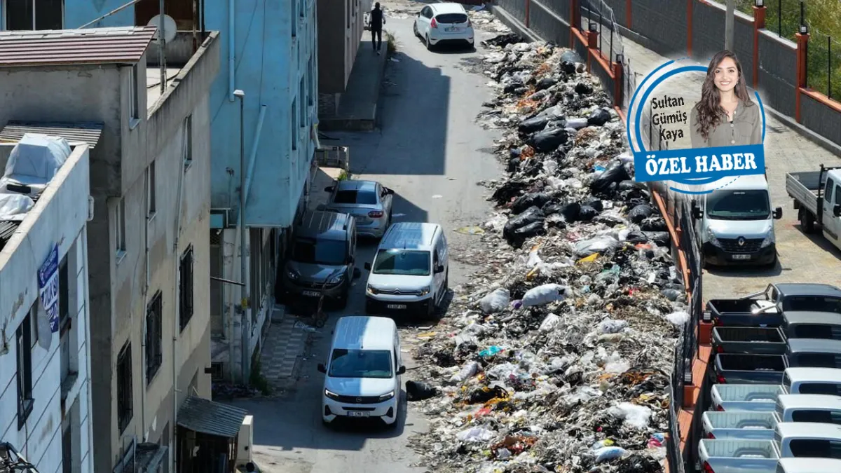 İzmir’de çöpler salgın riski taşıyor haberinin görseli
