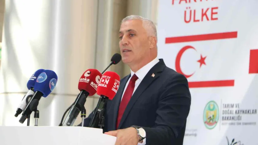 olgun