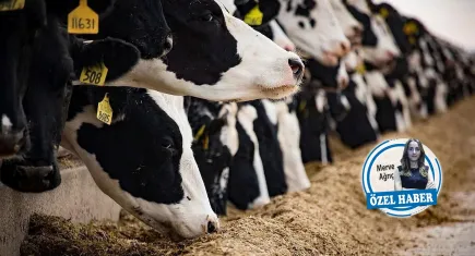 Üreticinin beklentisi kesintisiz ödeme