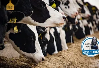 Üreticinin beklentisi kesintisiz ödeme