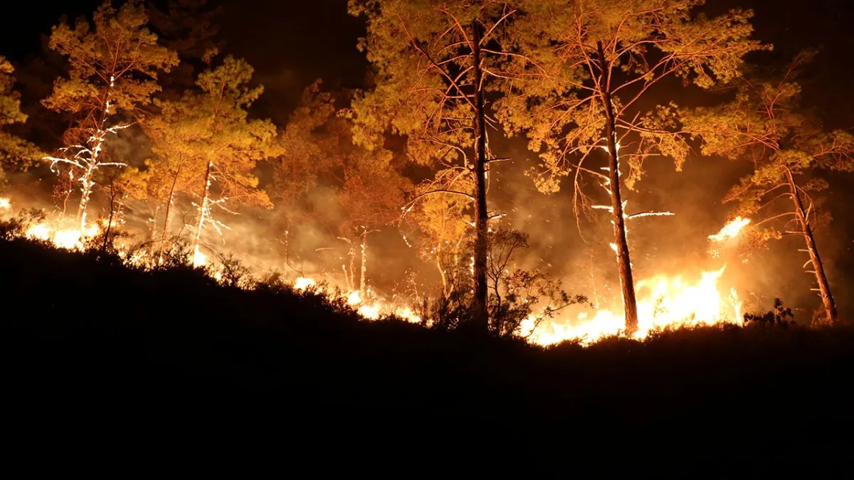 Antalya Alanya 3 gündür yanıyor! haberinin görseli