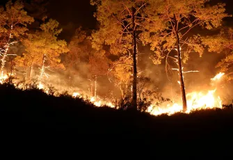 Antalya Alanya 3 gündür yanıyor!