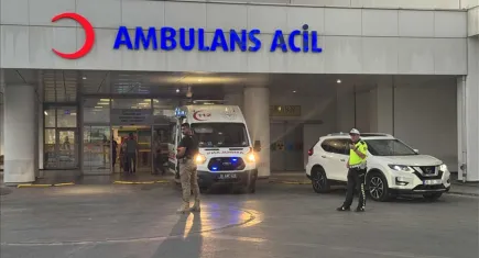 Kayseri’de çoban köpeği saldırısı: 60 yaşındaki kadın hayatını kaybetti