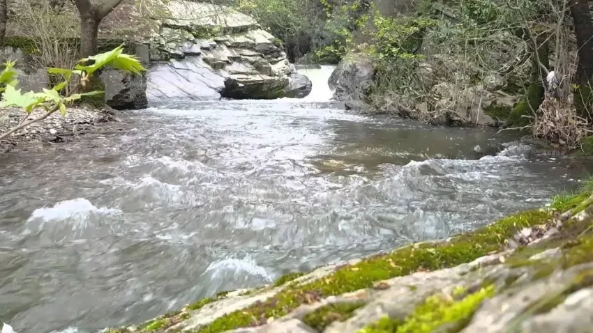 İzmir’e bir saat uzaklıkta saklı bir cennet: Tezgeçit Gölü