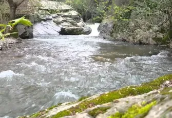 İzmir’e bir saat uzaklıkta saklı bir cennet: Tezgeçit Gölü