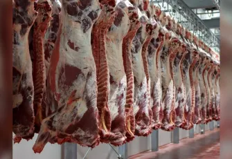 Karkas et fiyatlarında yükseliş devam ediyor