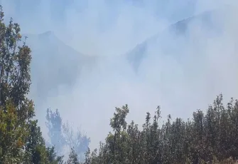 Konya'da orman yangını