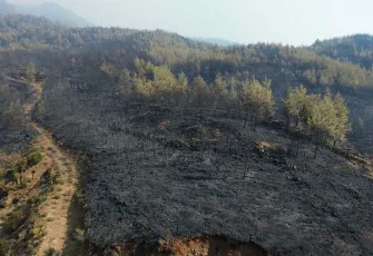 Köyceğiz’deki orman yangını 63 saat sonra kontrol altında