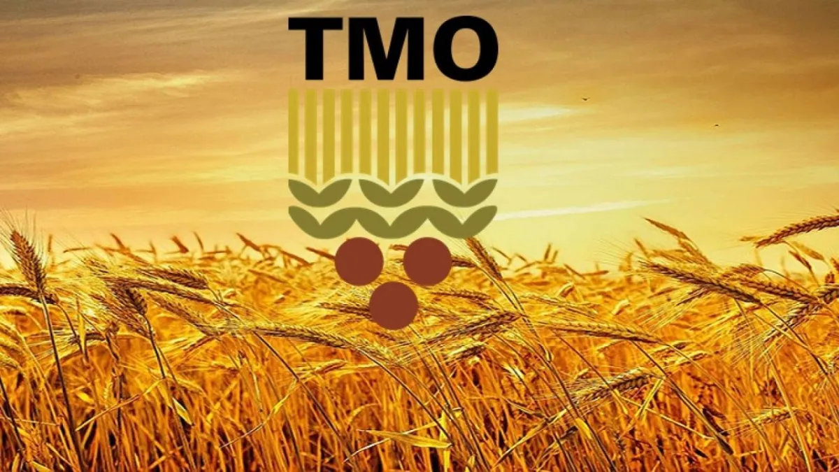 Buğday stoklarına haciz mi geldi? TMO’dan net açıklama haberinin görseli