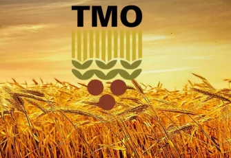 Buğday stoklarına haciz mi geldi? TMO’dan net açıklama