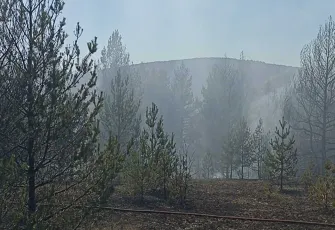 Kastamonu'da orman yangını!