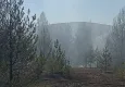 Kastamonu'da orman yangını!