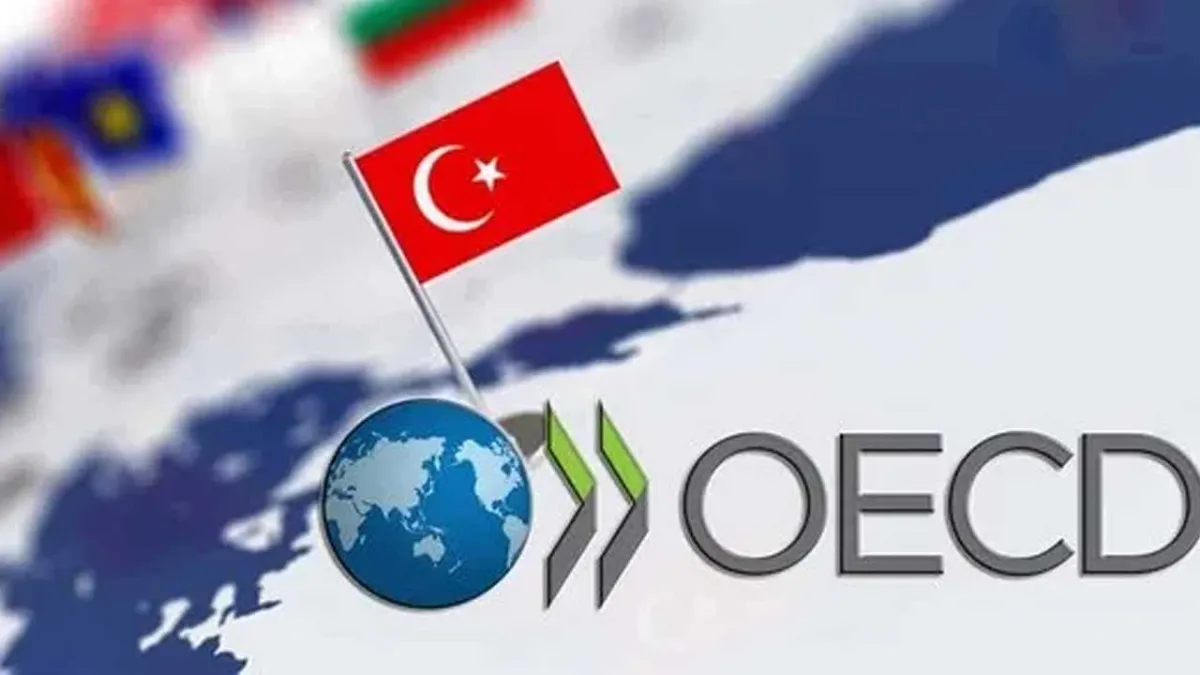 OECD, Türkiye&#039;nin bu yılki enflasyon  tahminini yükseltti haberinin görseli
