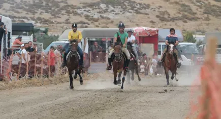 Türkiye’nin en başarılı atları Menemen’de yarışacak: 11. Geleneksel Rahvan At Yarışları coşkusu başlıyor