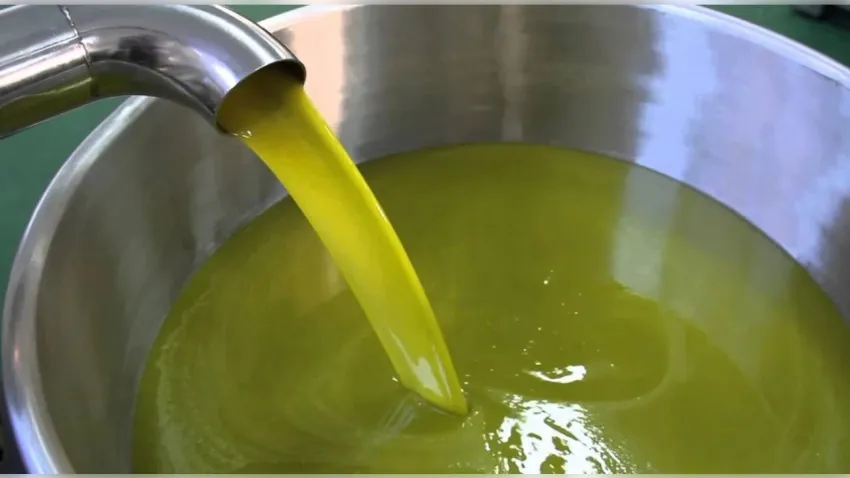 İzmir’in zeytinyağı yine tağşiş listesinde