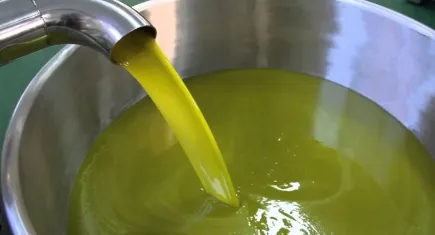 İzmir’in zeytinyağı yine tağşiş listesinde