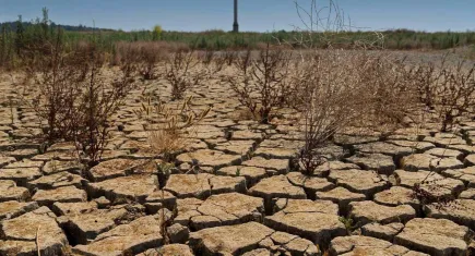Kuraklık ve su krizi gıda sektörünü tehdit ediyor