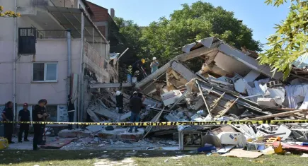 Öziçer: Artçıların sona ermesi için günlük deprem sayısı 10’un altına düşmeli