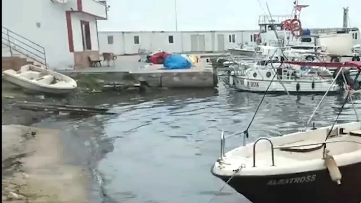 Çevre kirliliğine neden olan 2 belediyeye dev ceza haberinin görseli