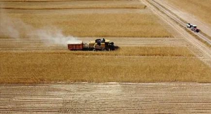 Tarım ve Orman Bakanlığı’ndan çiftçilere müjde! 47 milyon liralık destek hesaplara yatıyor