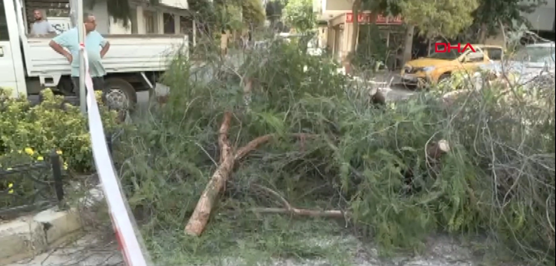 Konak’ta park halindeki otomobilin üzerine ağaç devrildi başlıklı video haberin görseli