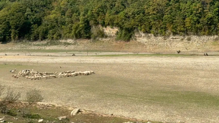 kuraklık