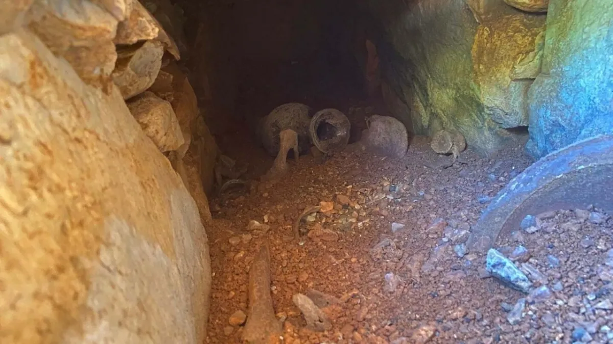 Muğla’da 6 metrelik derinlikte 6 mezar bulundu: Tarihi objeler göz kamaştırıyor haberinin görseli