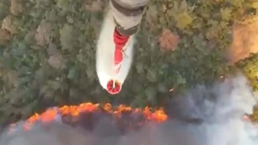 yangın