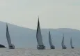 Foça'daki yelken şenliğinde iki yakadan yelkenciler Ege'de dostluk mesajı verdi
